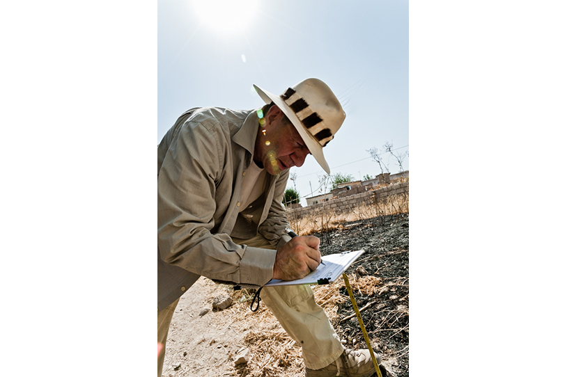 archaeological_survey