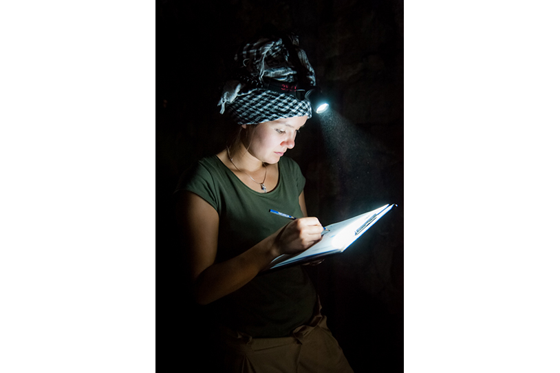 archaeological_survey