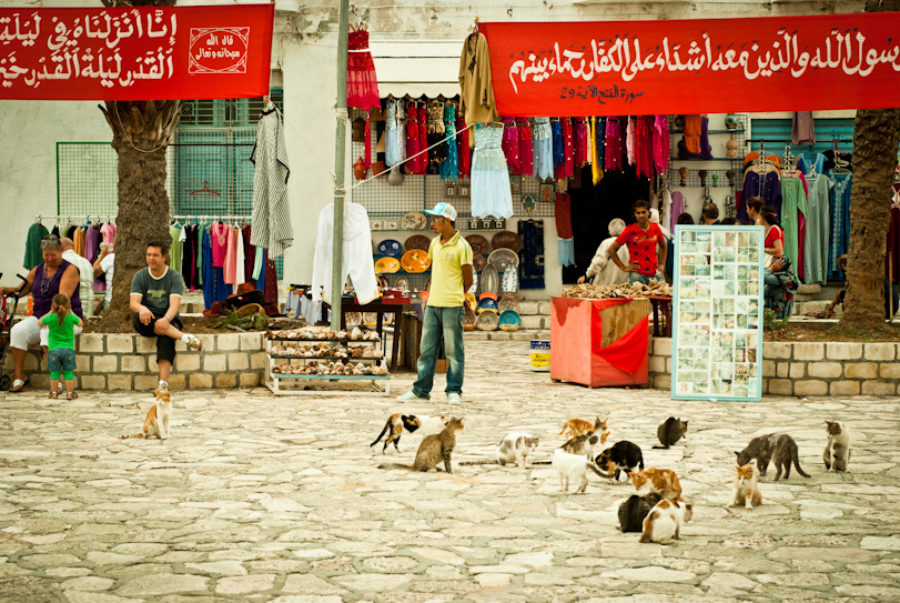 tunisia