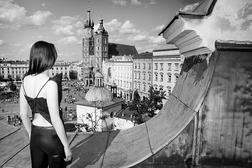 roof4