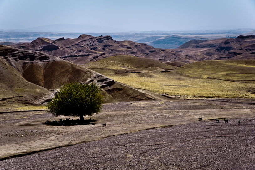 Iraqi Kurdistan