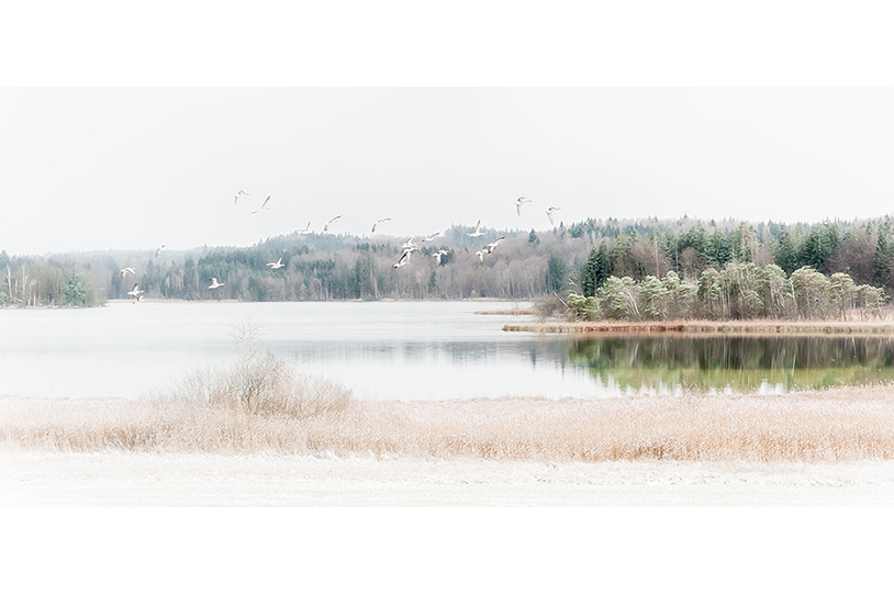 osterseen