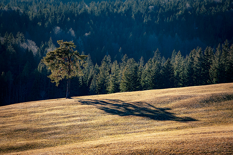 bavaria_landscape